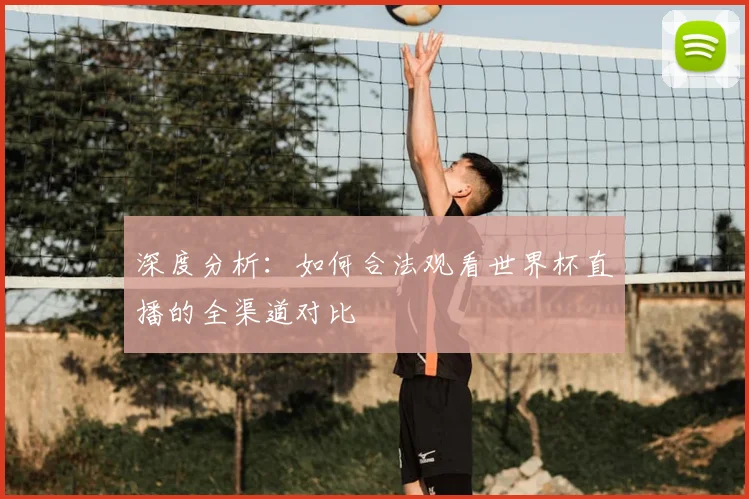 深度分析：如何合法观看世界杯直播的全渠道对比