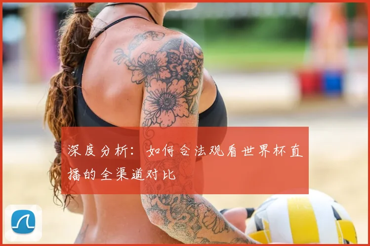 深度分析：如何合法观看世界杯直播的全渠道对比