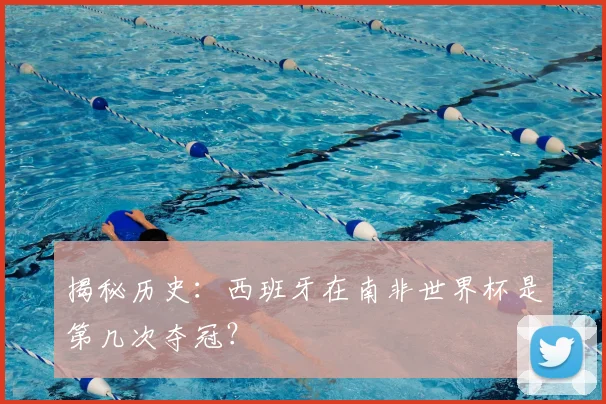 揭秘历史:西班牙在南非世界杯是第几次夺冠?