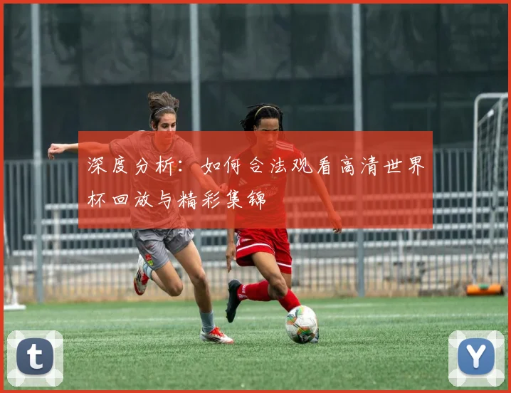 深度分析：如何合法观看高清世界杯回放与精彩集锦