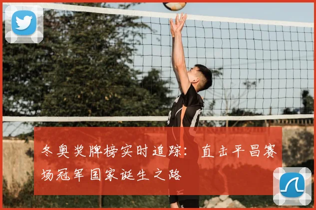 冬奥奖牌榜实时追踪：直击平昌赛场冠军国家诞生之路